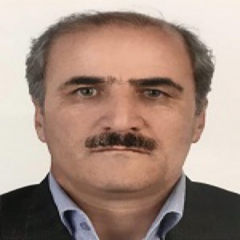متخصص روانپزشکی (اعصاب و روان ) دکتر علی اکبر اسماعیلی بیرجند