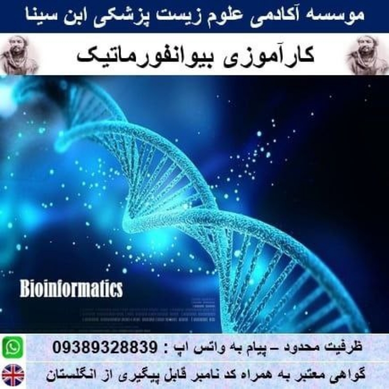 جامع ترین کارآموزی بیوانفورماتیک