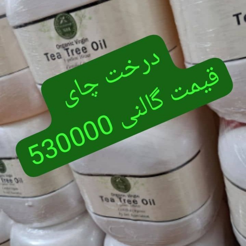 فروش روغن درخت چای